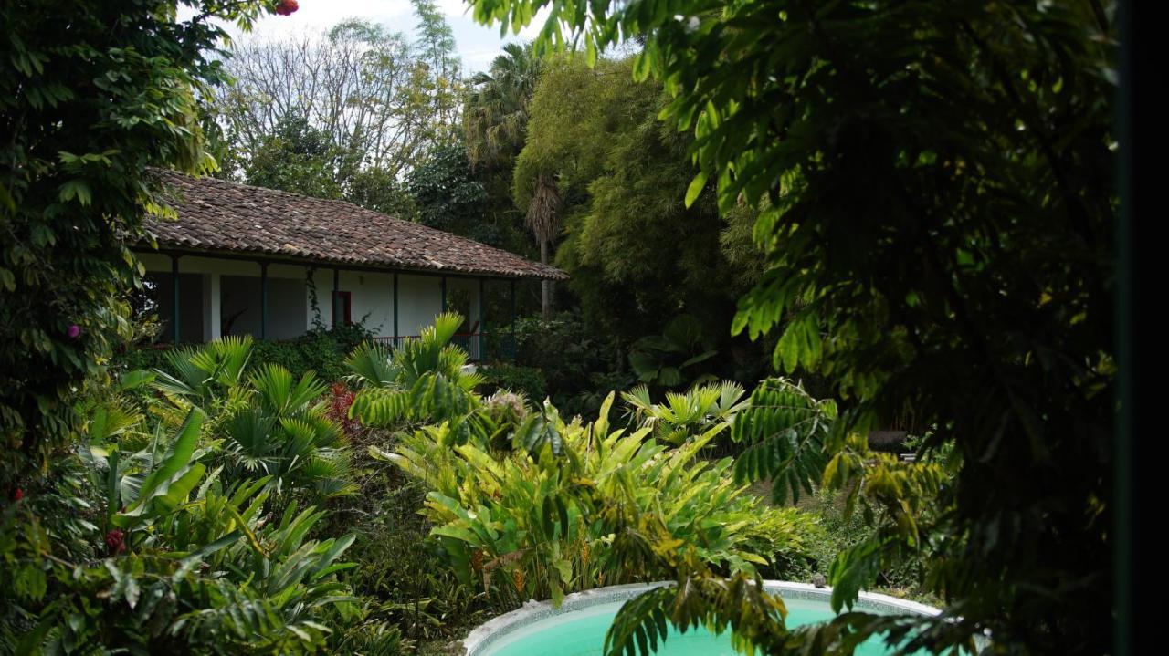 קימבאיה Finca La Argelia מראה חיצוני תמונה